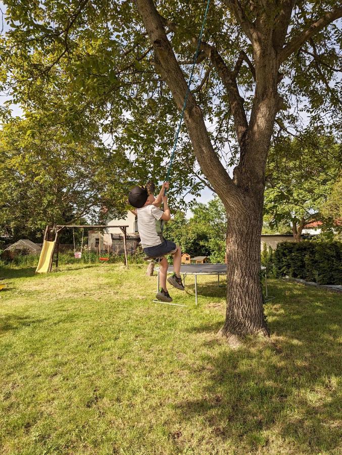 Ferienhaus Lausitz Lauta エクステリア 写真